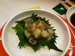 -京樽回転寿司(奥林匹克店)