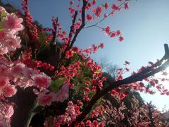 -西游洞风景区