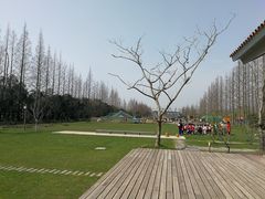 -前小桔亲子创意农场·草莓采摘·露营烧烤