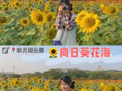 -映月湖中央公园