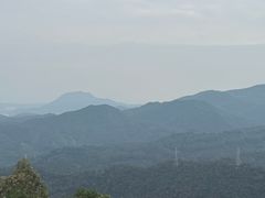 -水濂山森林公园