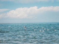 -青海湖国家重点风景名胜区