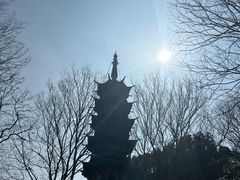 -上海佘山国家森林公园西佘山园