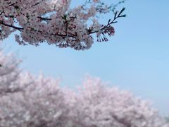 -龙美术馆(西岸馆)