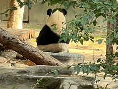 -上海野生动物园
