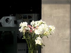 -十一咖啡(青年大街工厂店)