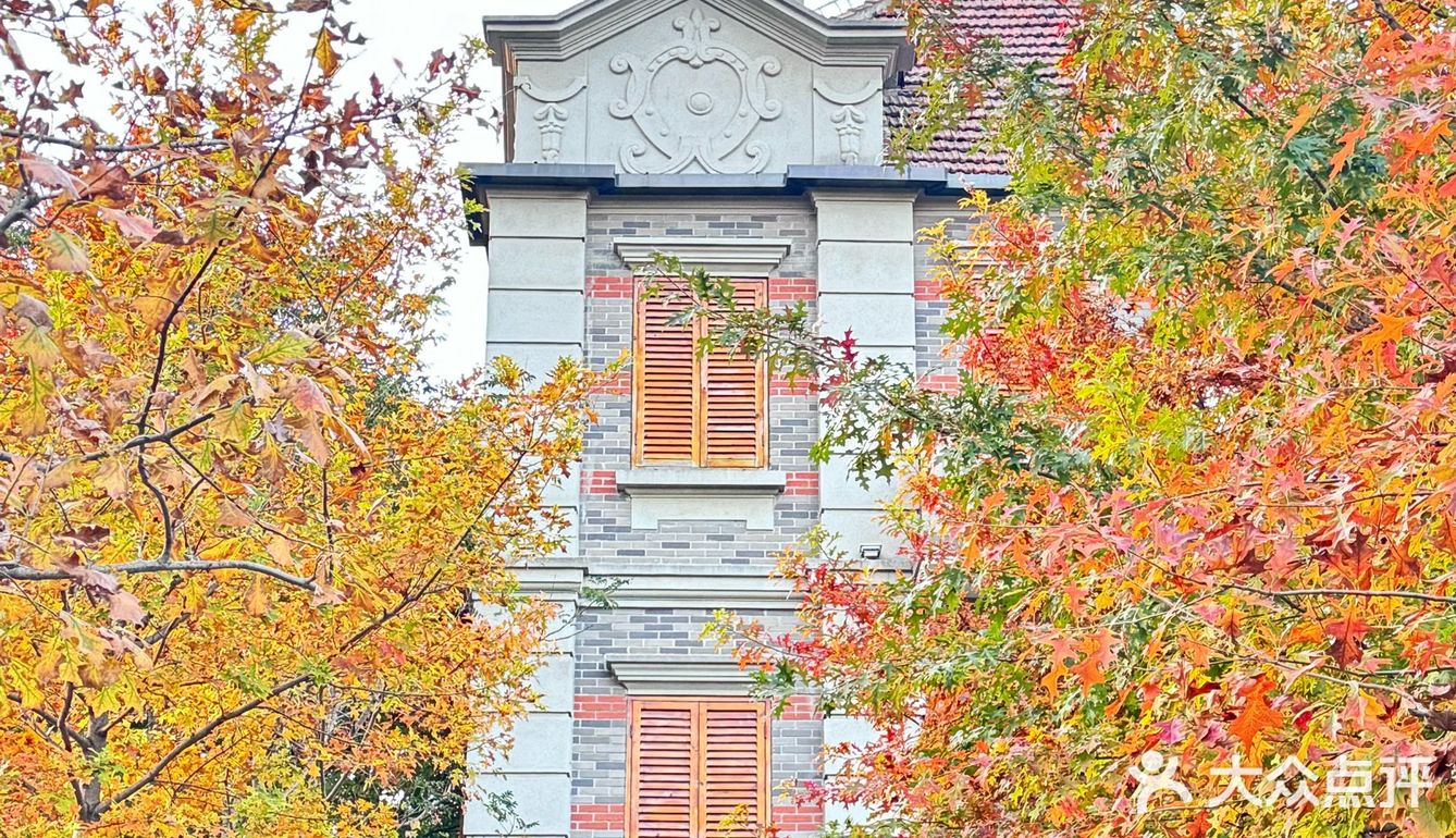 拾得一片秋天的味道🍂