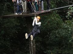 -西双版纳原始森林公园
