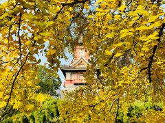 -四川大学(华西校区)