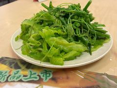 龙须菜-面点王·臻选(海岸城分店)