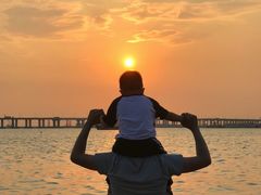 -宝安西湾红树林湿地公园