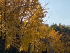 -苏州河梦清园环保主题公园