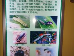 -上海昆虫博物馆