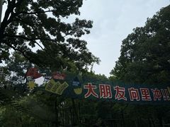 -WeLope紫金山探险公园
