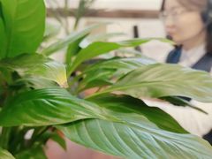 -贵州贵星奔驰4S店(观山湖店)