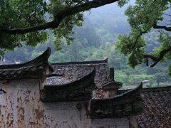 -杨家堂村