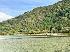 -腾冲北海湿地