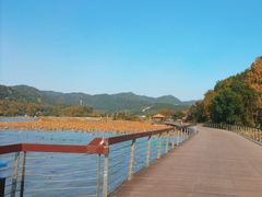 -东钱湖旅游度假区