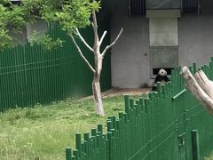 -沈阳森林动物园
