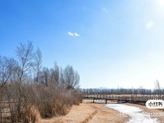 -野鸭湖国家湿地公园