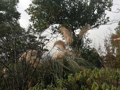 -嬉乐湾休闲旅游区