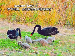 -朝阳公园