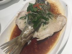 -至潮餐厅精致粤菜·活鲈鱼·走地鸡(珠江新城店)