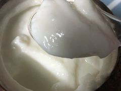 原只椰子炖蛋白-黄师奶甜品店
