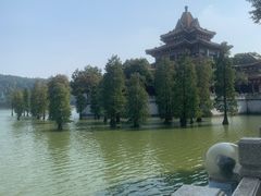 -顺峰山公园