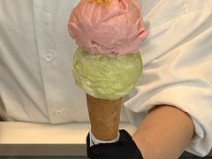 -红楼HONGLOU Gelato(淮海中路店)