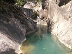 -广州白江湖森林公园