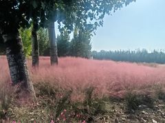 -汉长安城未央宫国家考古遗址公园