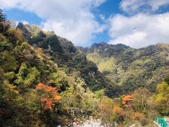 -陕西省红河谷森林公园