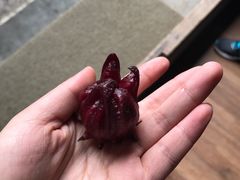 -前童古镇