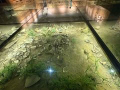 -磁州窑博物馆