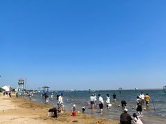 -碧海金沙