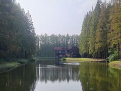 -黄海国家森林公园