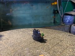 -顺承小院儿