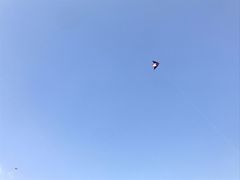 -春花秋色城市公园