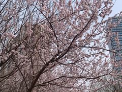 -新荟城(望京店)