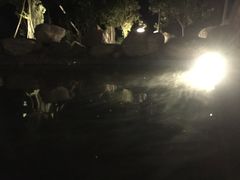 -英德宝晶宫天鹅湖茶语温泉