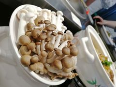 -莫山小馆(百花店)