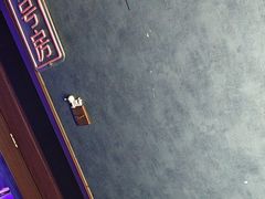 -剧狐剧本杀(徐汇1号店)