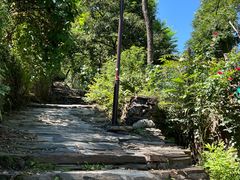 -南窖乡水峪村山情农家