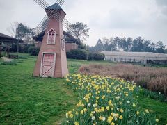 -保利石象湖景区