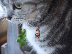 -海边的猫和咖啡馆