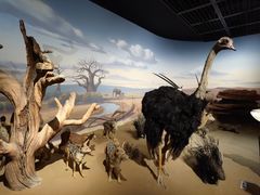 -陕西自然博物馆