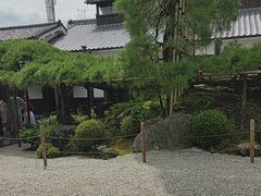 -中村藤吉(本店)
