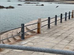-海合安青岛极地海洋公园