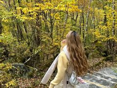 -叠溪松坪沟景区